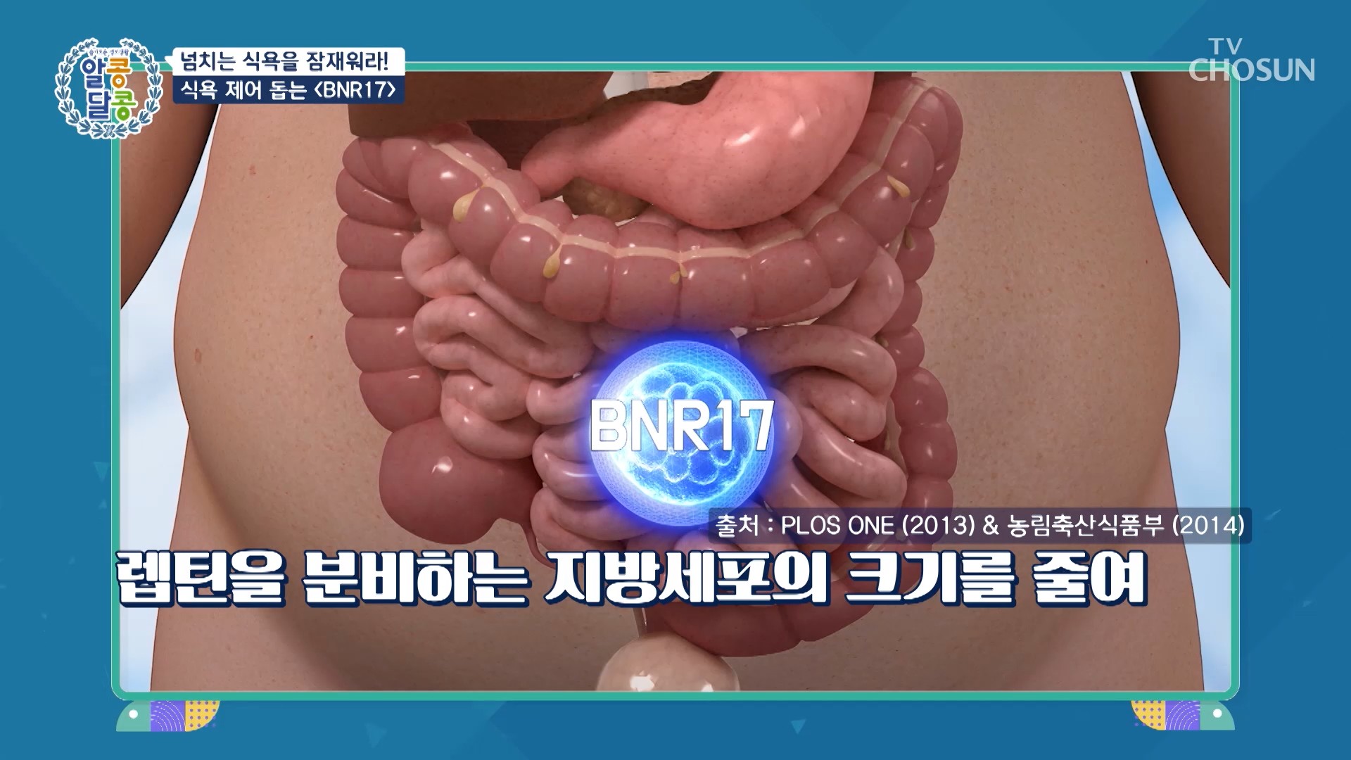 렙틴을 분비하는 지방세포 크기를 줄이는 원리